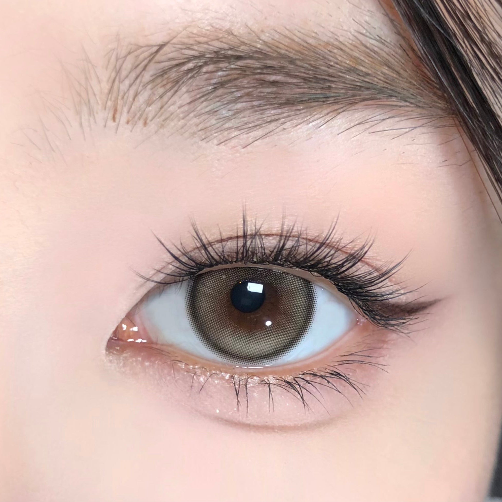 جيري هيزل [BARRIEYES] | 1day 