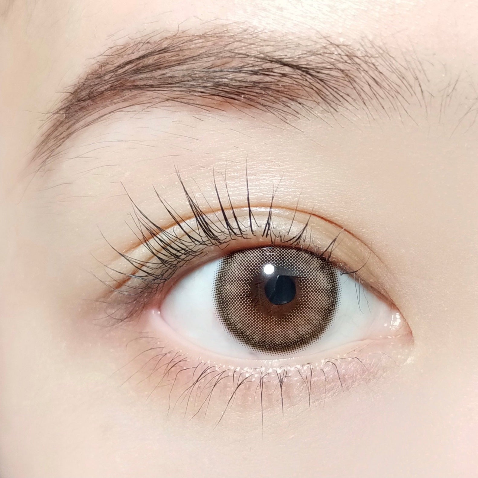 Nâu sẫm [BARRIEYES] | 1day 