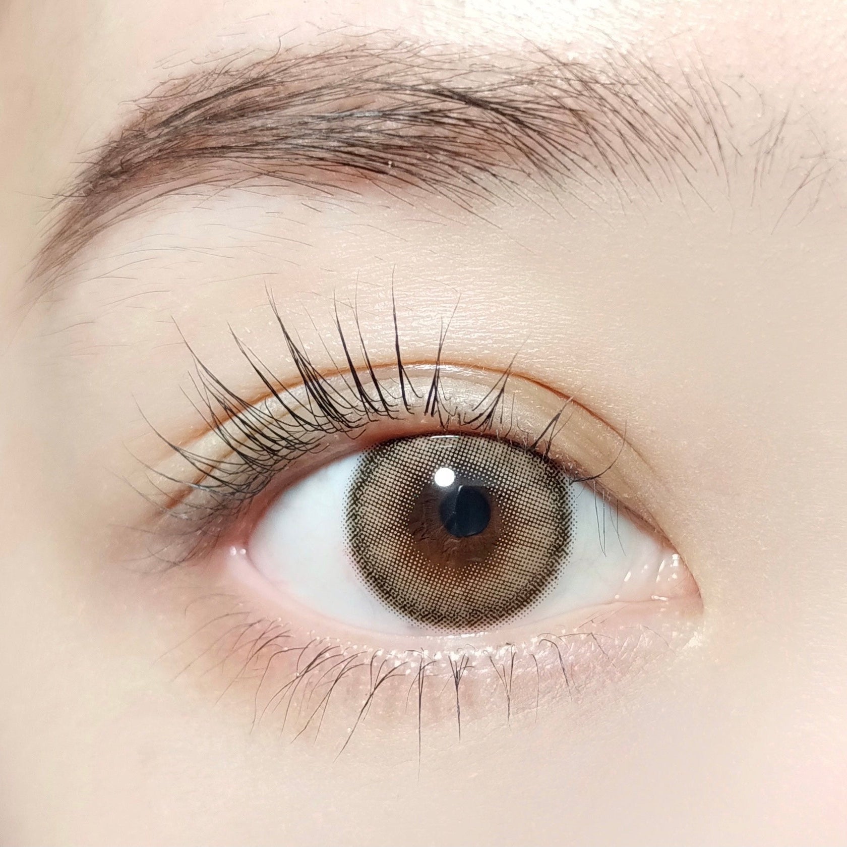 Dawn Hazel [BARRIEYES] | 1day 