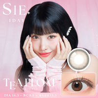 ティーフロート [SIE.] | 1day