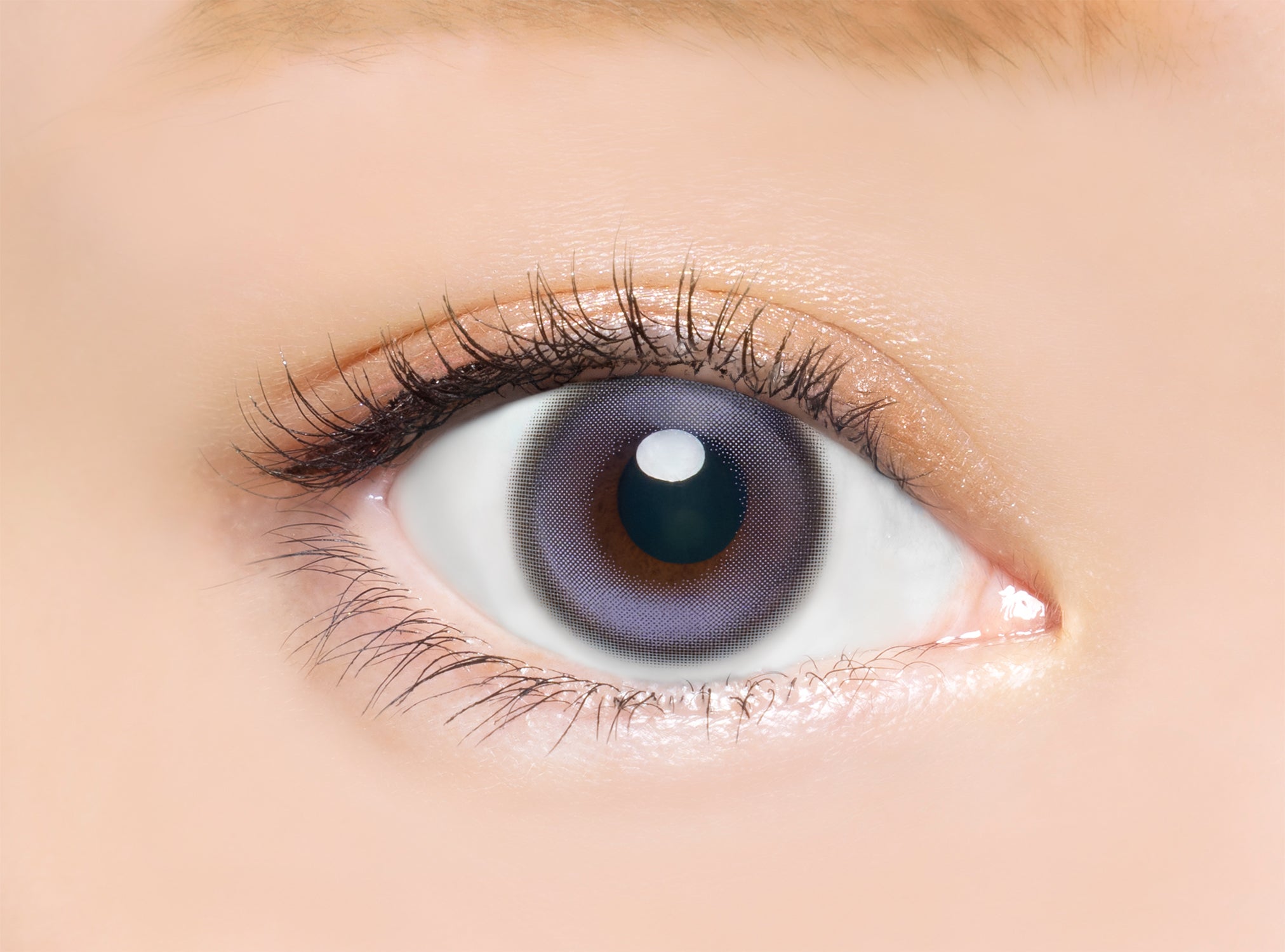 Schneepurpur [Bambi Series] | 1day 