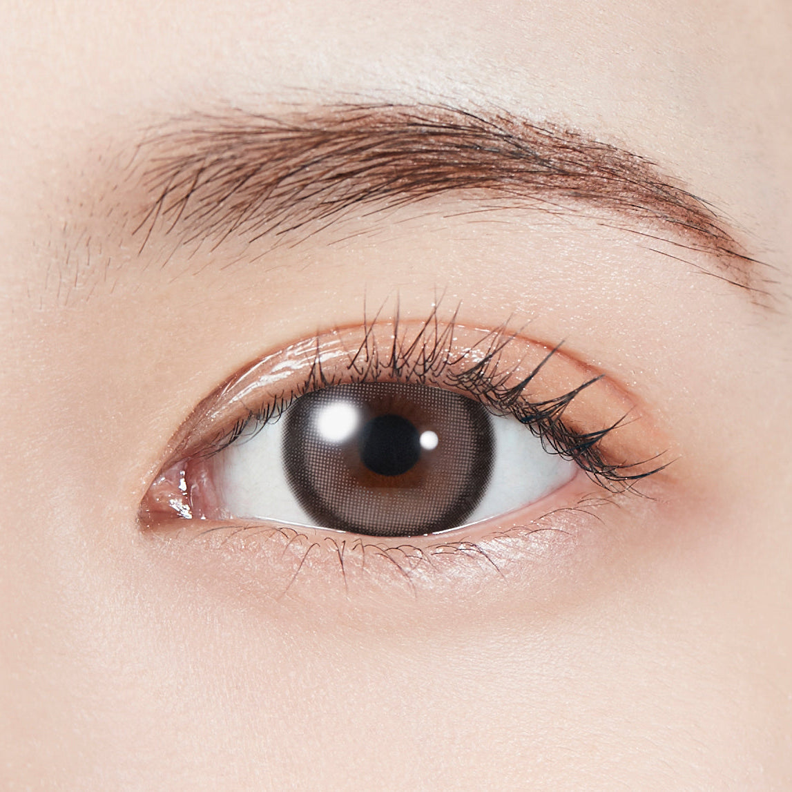 Grey Bunny [MOLAK] | 1day 