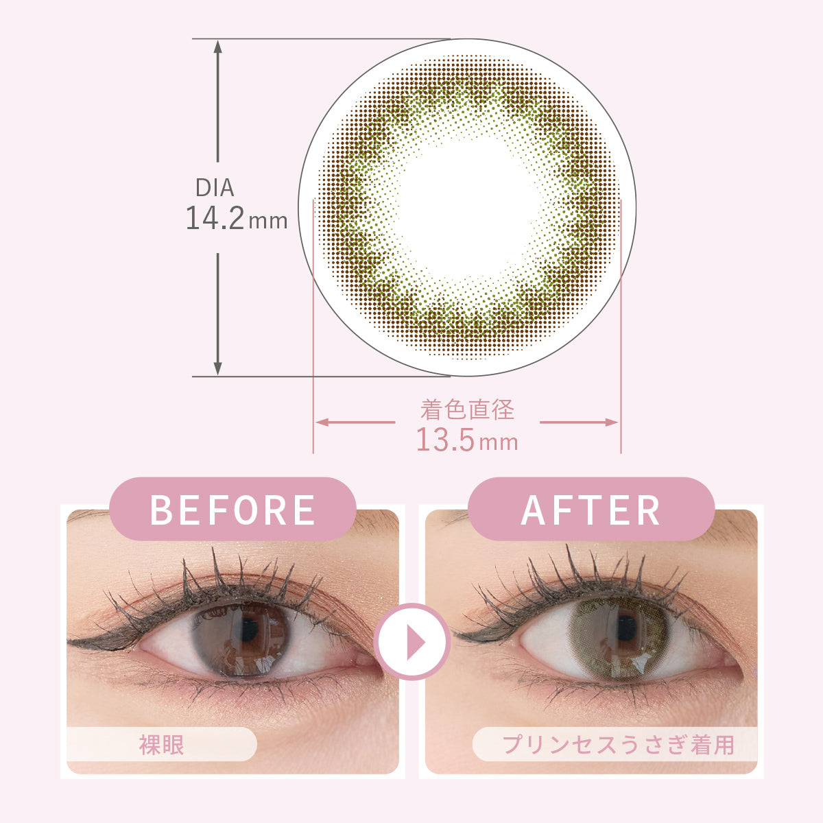 プリンセスうさぎ [MieQaM] | 1dayカラコン - DIA 14.2mm | Push!Color