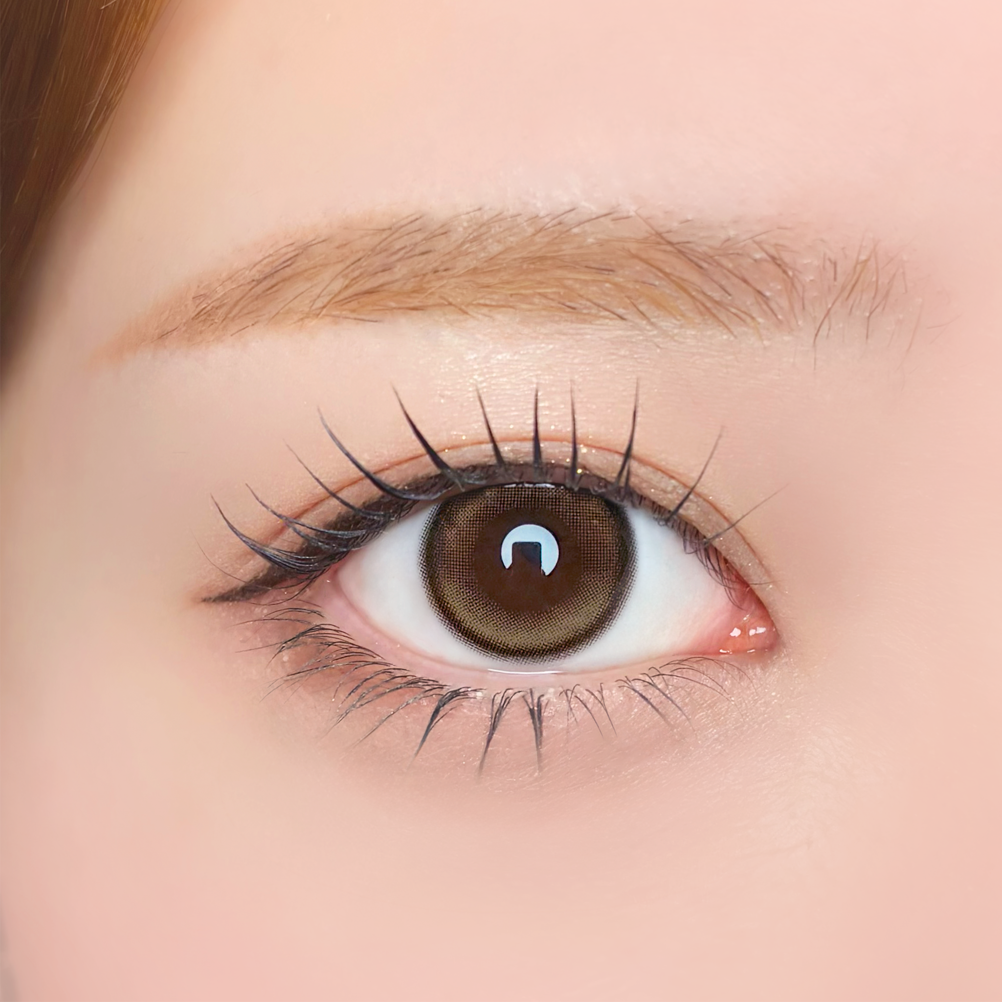 รูนันเบจ [Unrolla] | 1day 