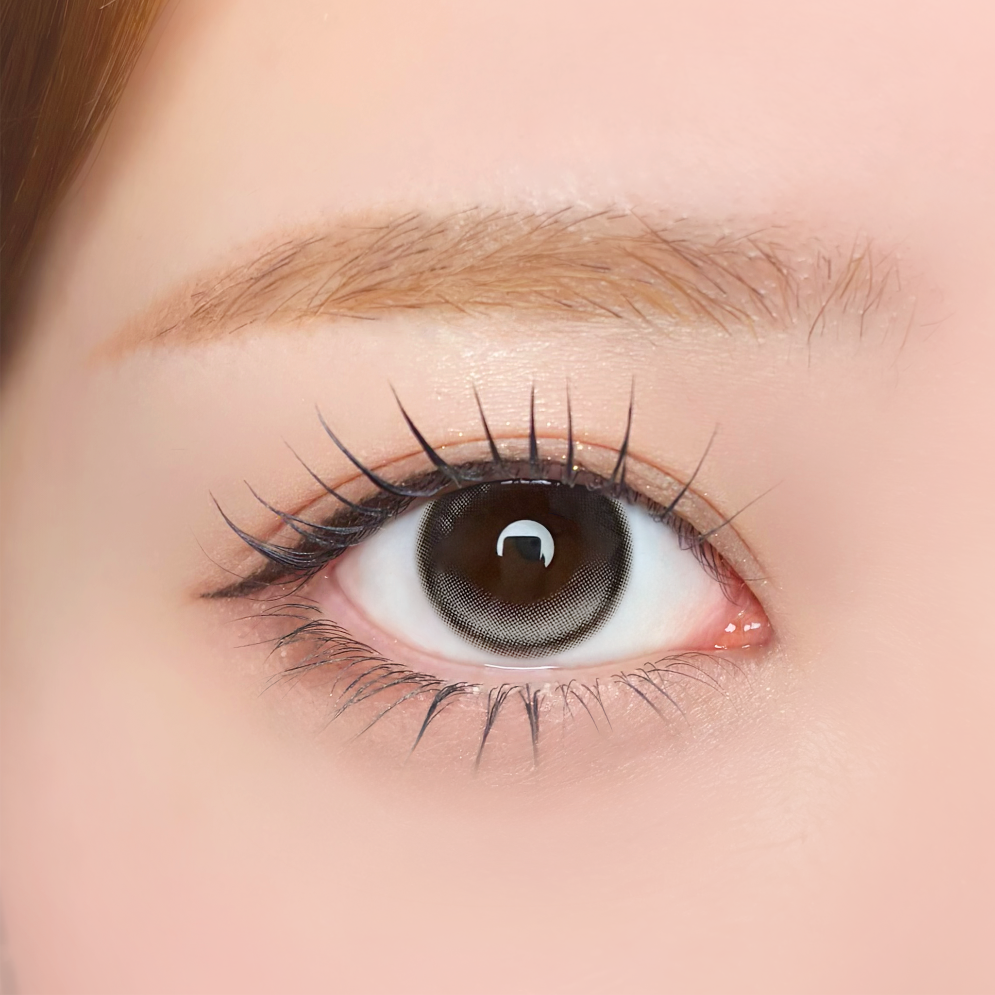 รูนังเกร [Unrolla] | 1day 