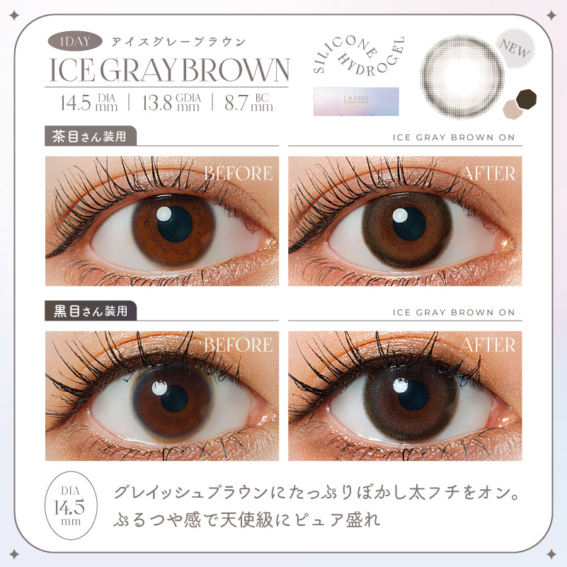 Ice Gray Brown | 日拋