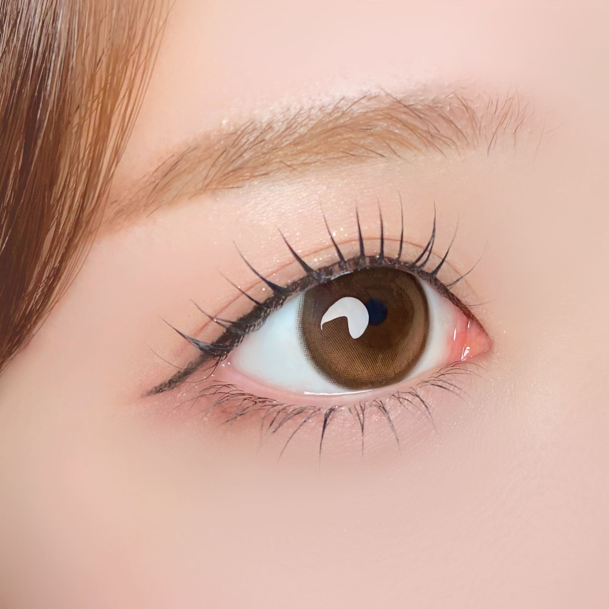 รูนันบราวน์ [Unrolla] | 1day 