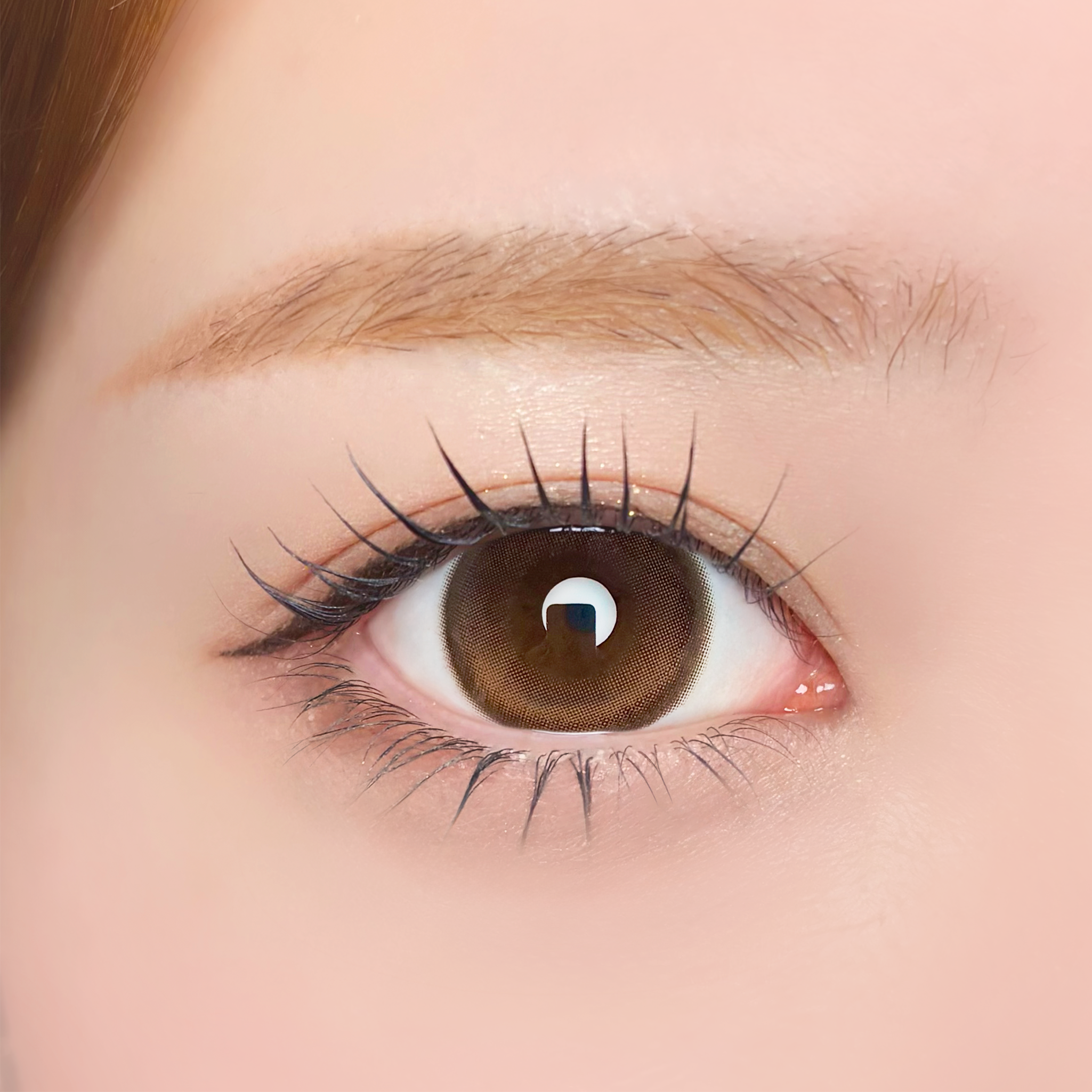 รูนันบราวน์ [Unrolla] | 1day 