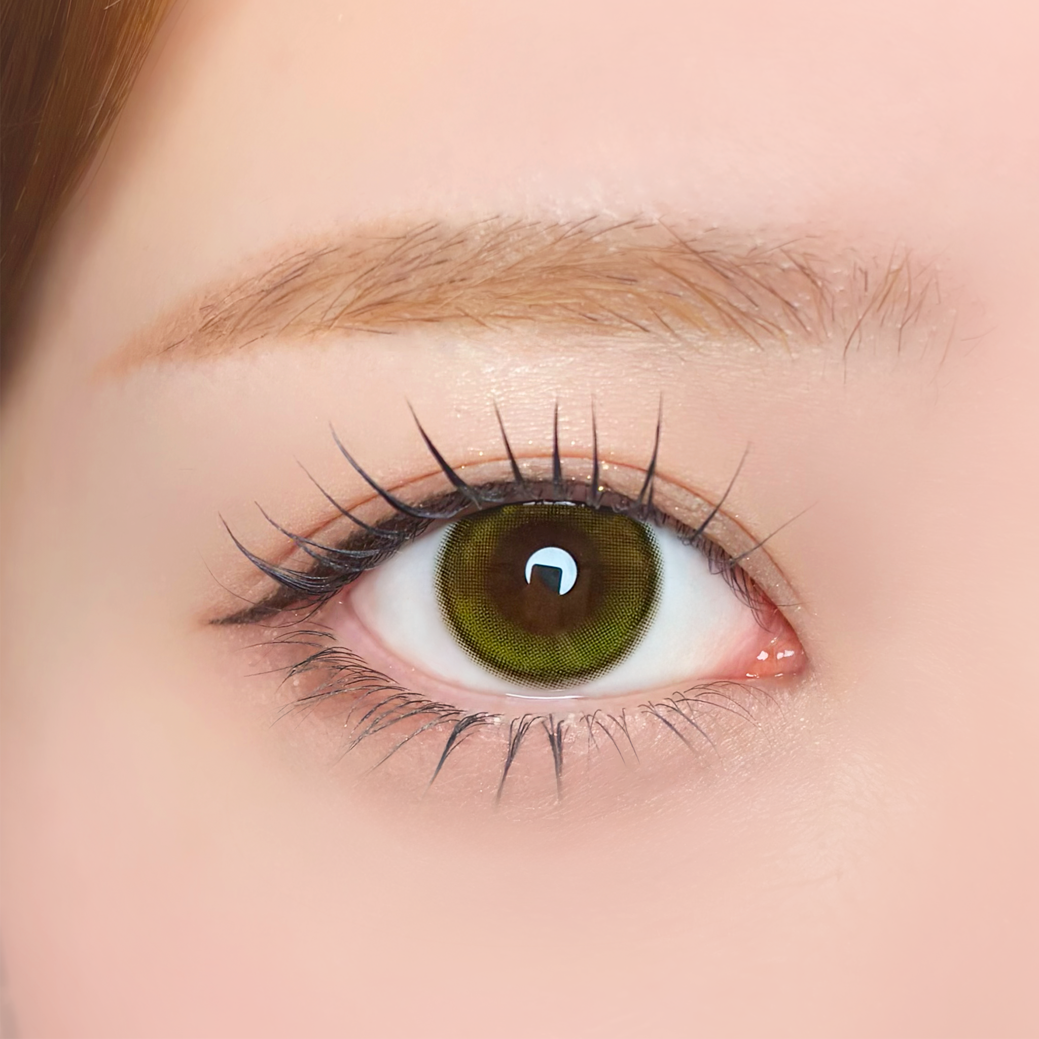 ルナンオリーブ [Unrolla] | 1day