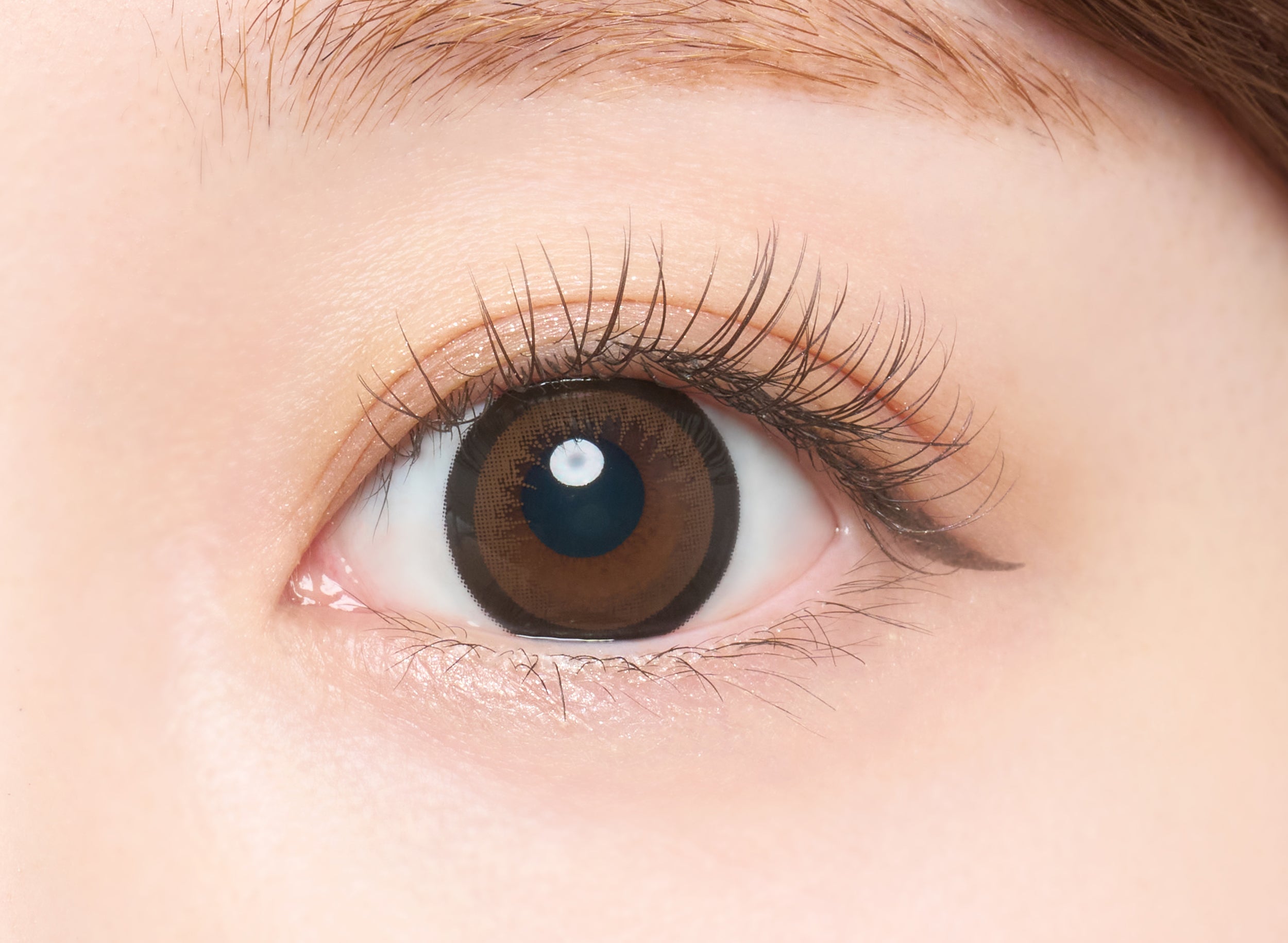 Armond [Bambi-Serie] | 1month 