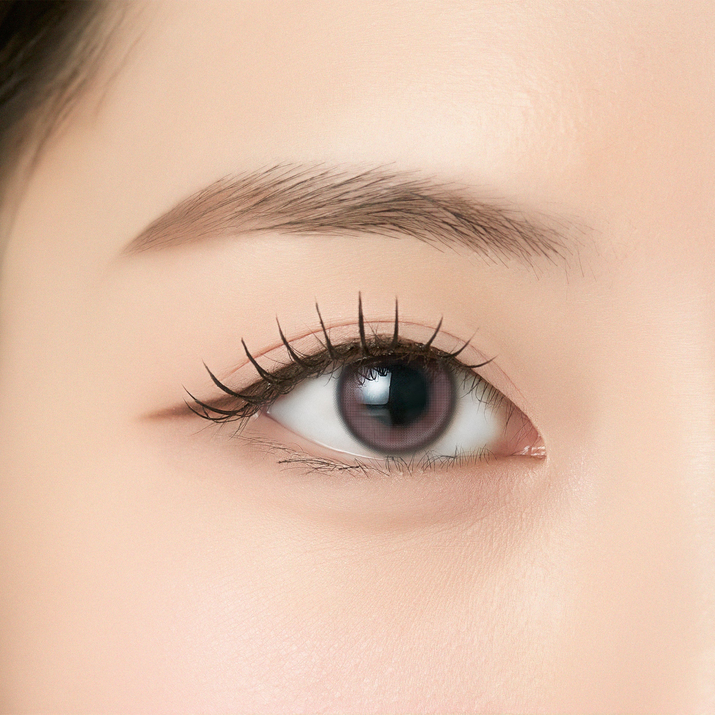 Anjo [ANGÉLIQUE] | 1day 