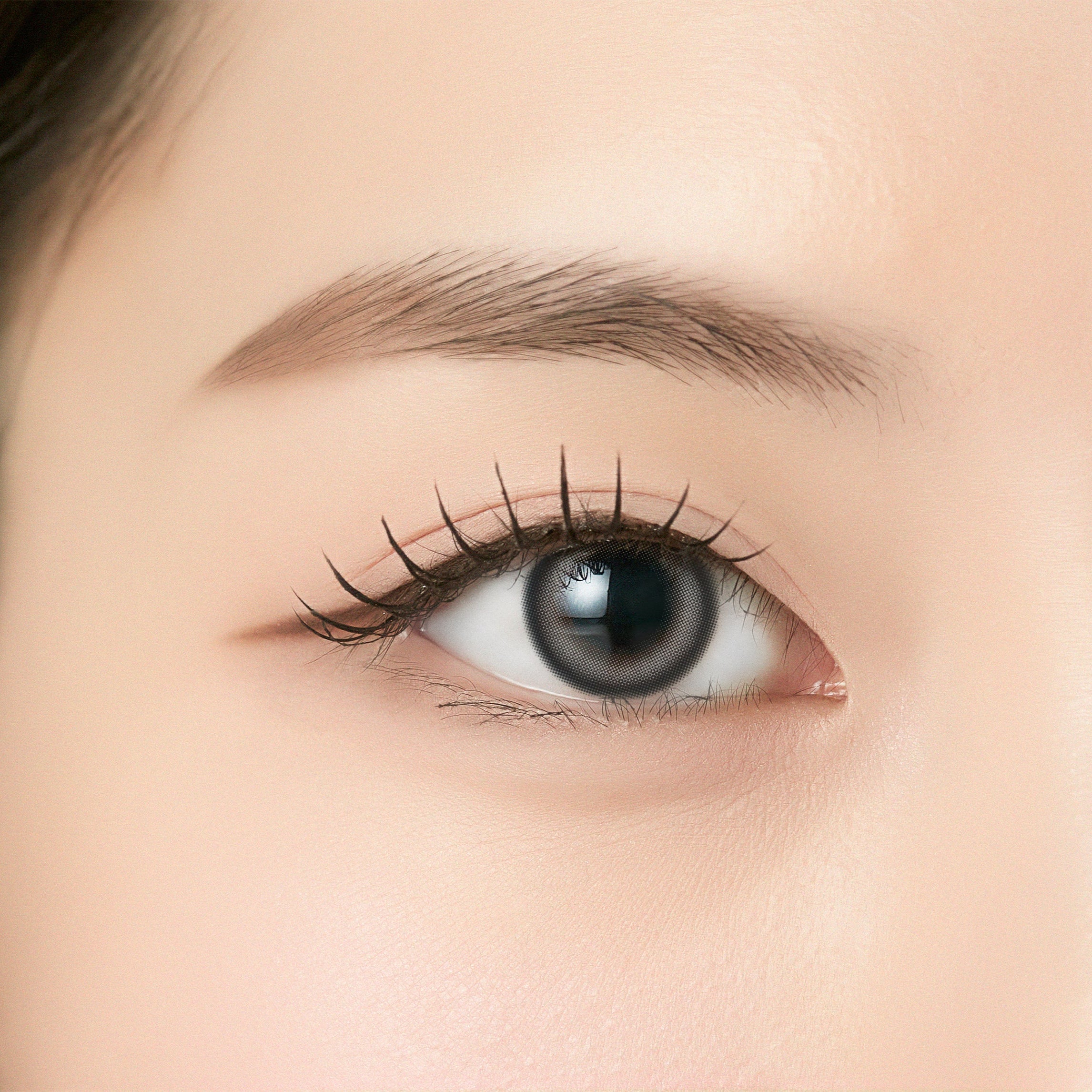 Luri Gray [ANGÉLIQUE] | 1day 