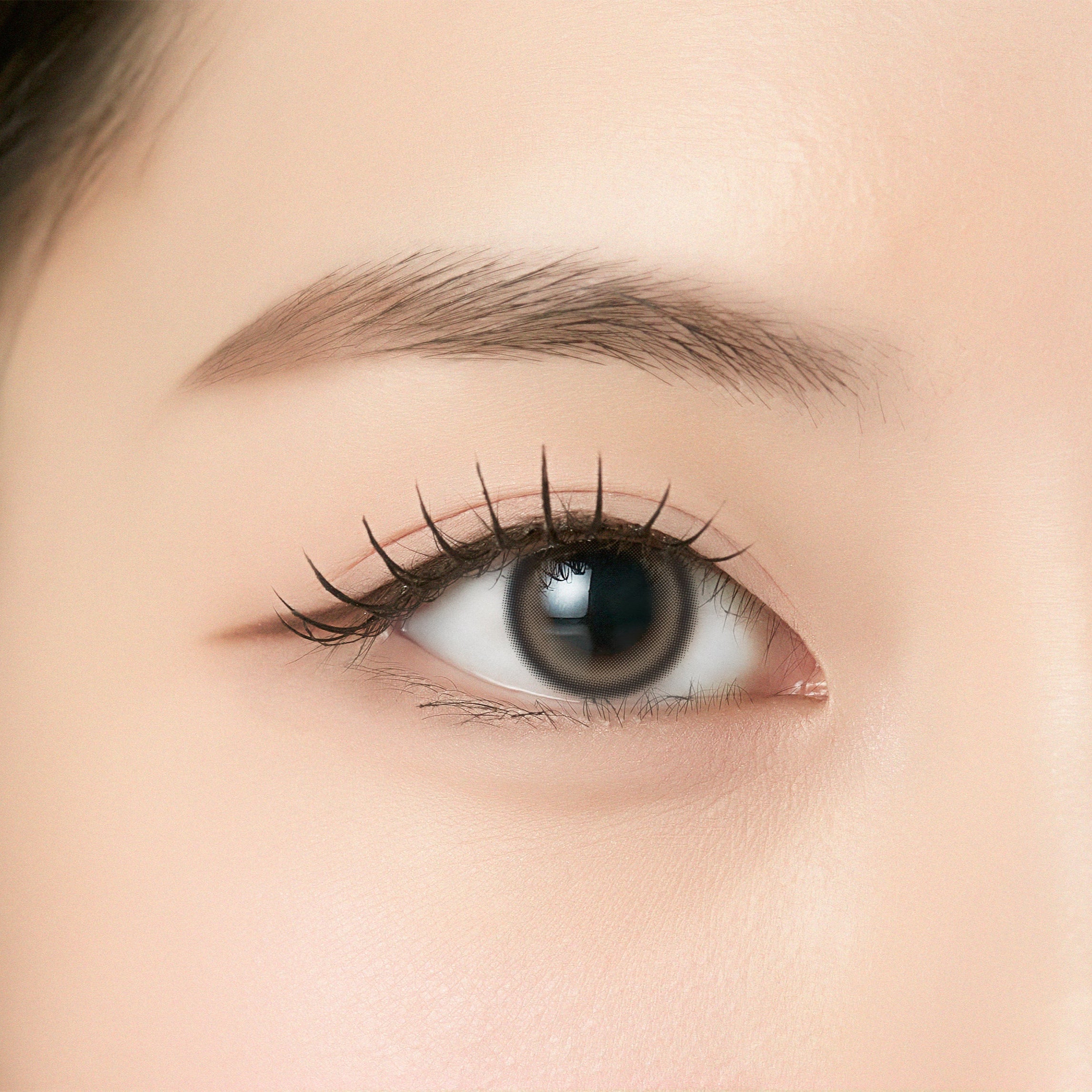 Neko Beige [ANGÉLIQUE] | 1month 