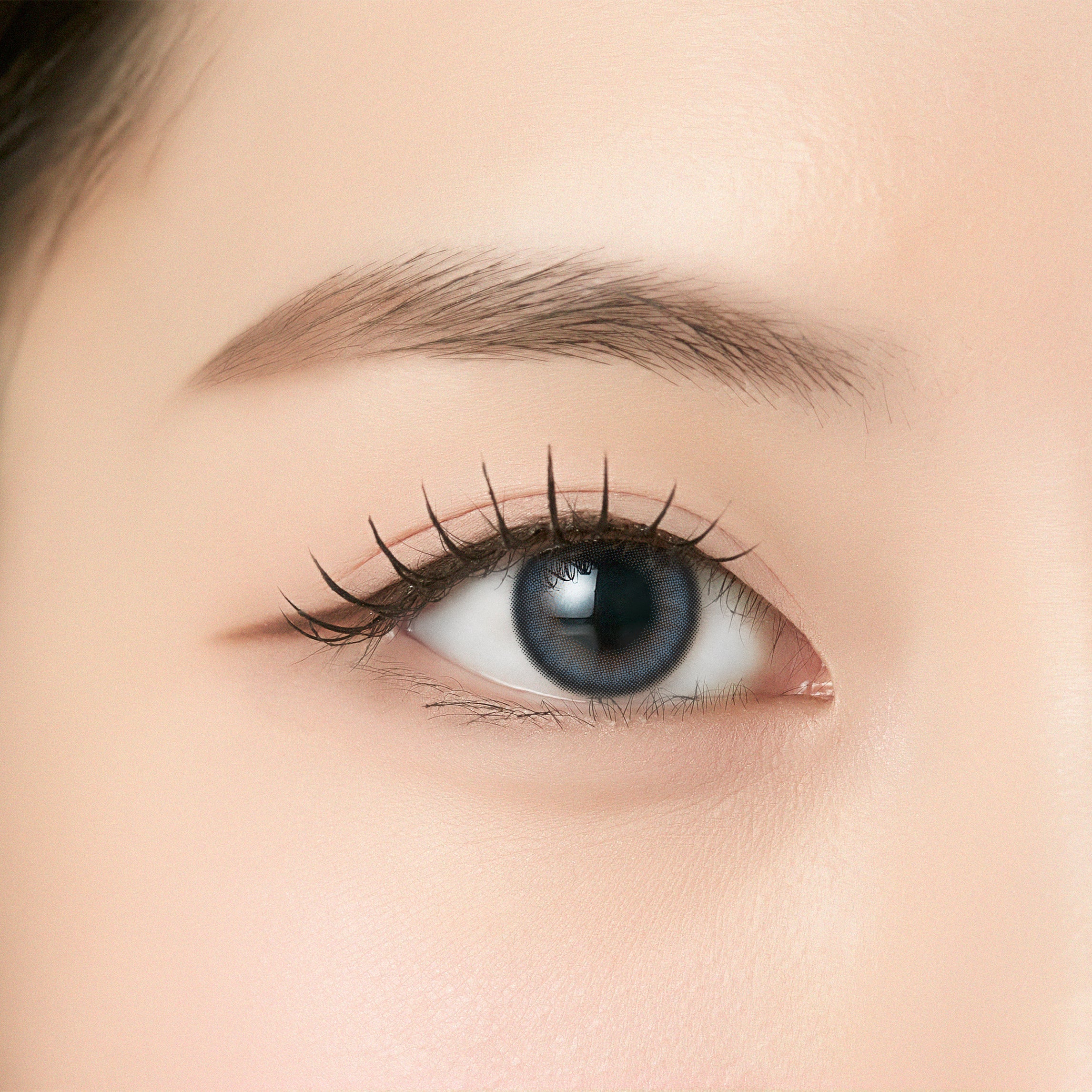 Sodabiru [ANGÉLIQUE] | 1day 