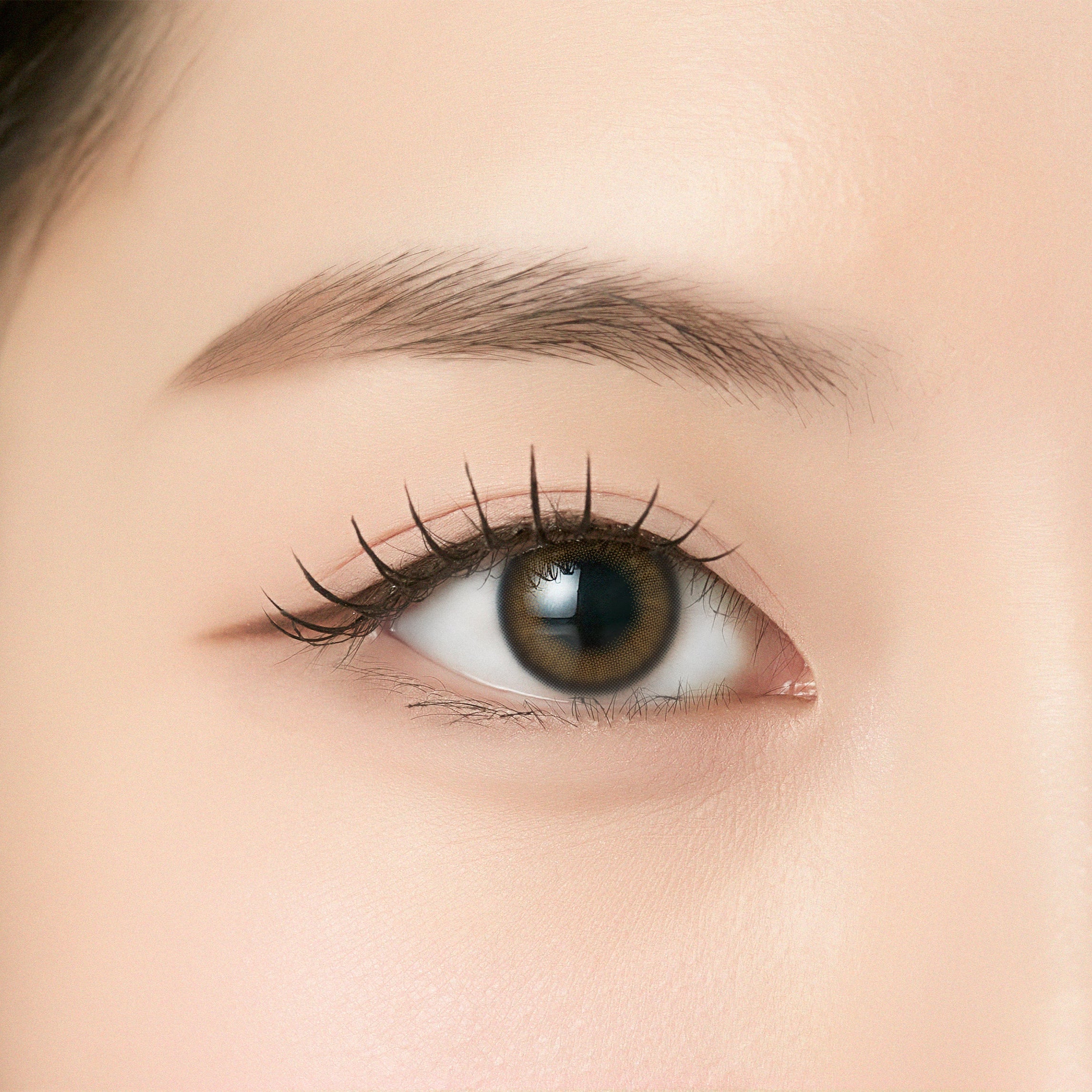 Yeppo Brown [ANGÉLIQUE] | 1day 