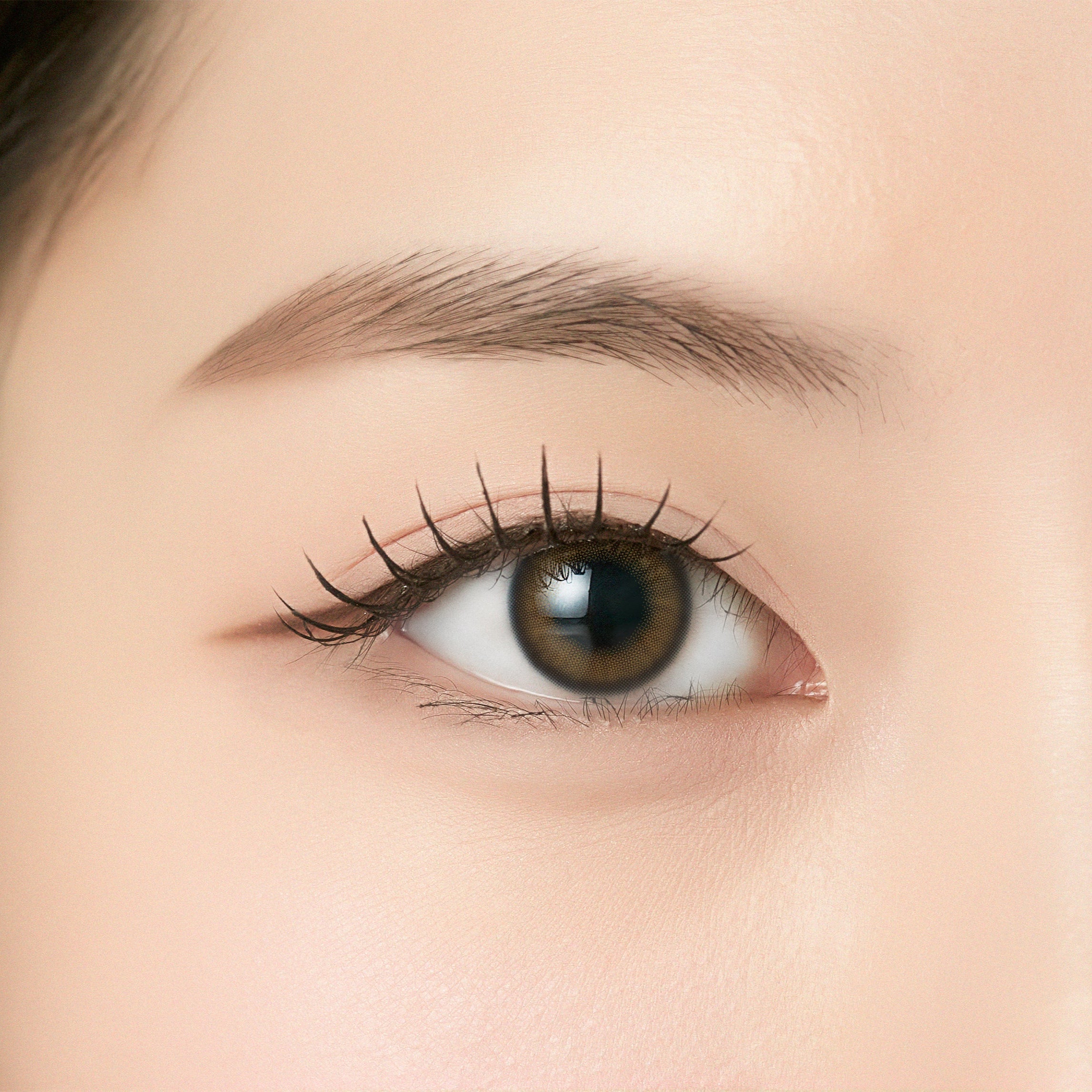 Yeppo Brown [ANGÉLIQUE] | 1month 