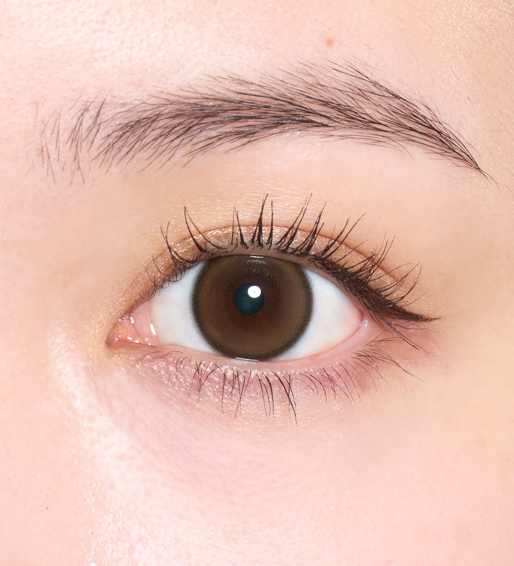 Bebe Brun [Quprie] | 1month 