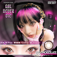 Cioccolato | Cioccolato 1 giorno