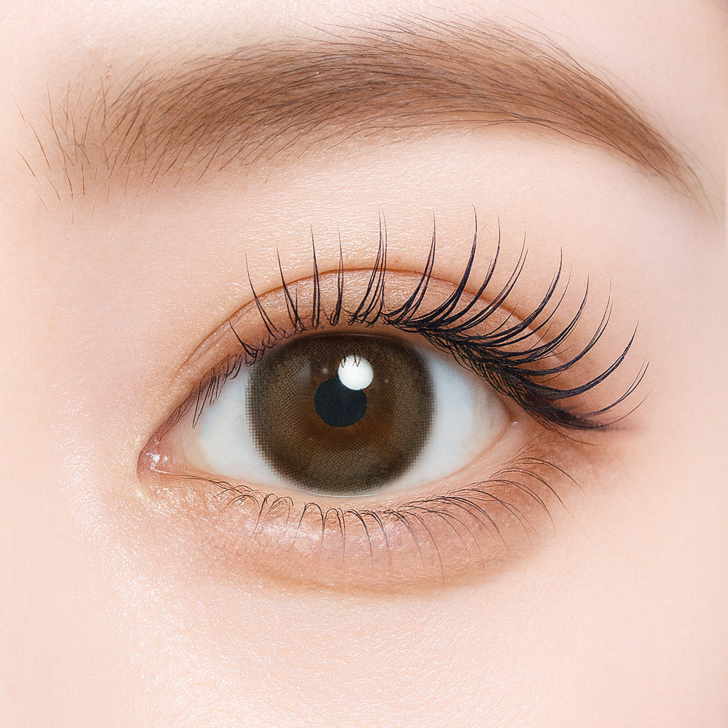 บิสเก็ตมอร์ | 1วัน 