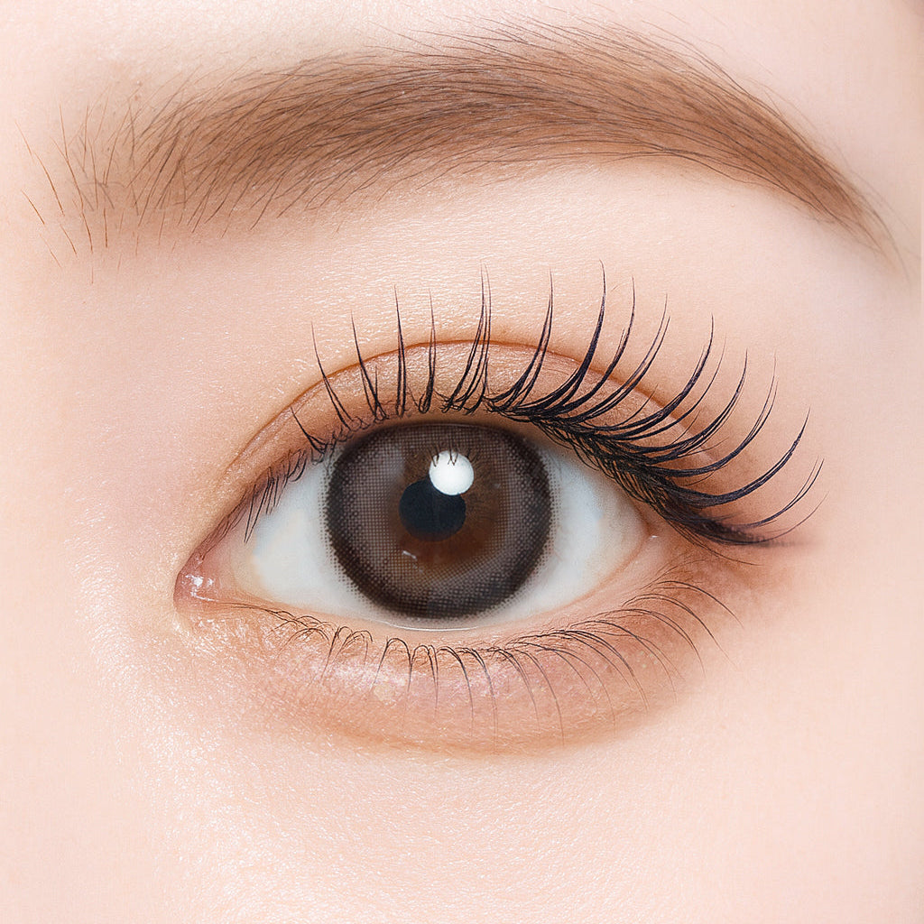 กาแฟบราวนี่ | 1วัน 