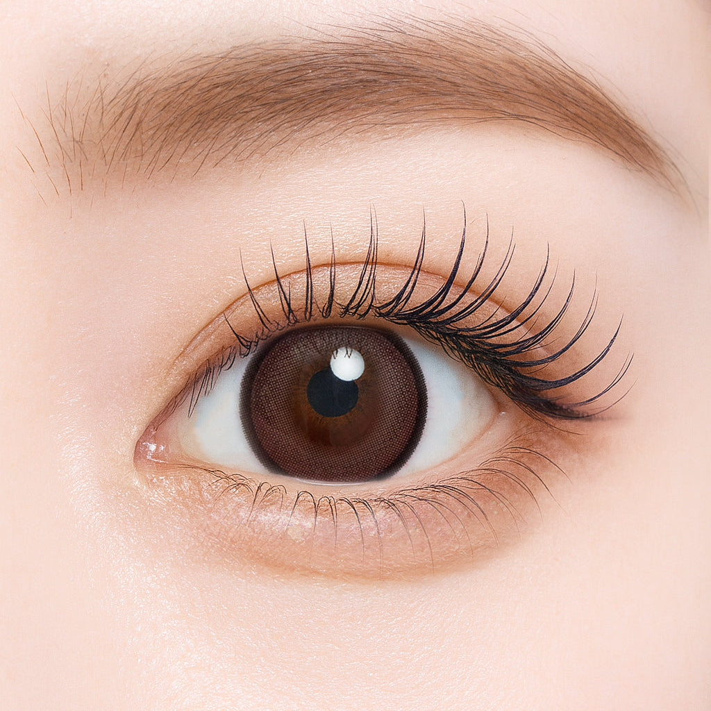 チョコムースパイ [Charton] | 1month