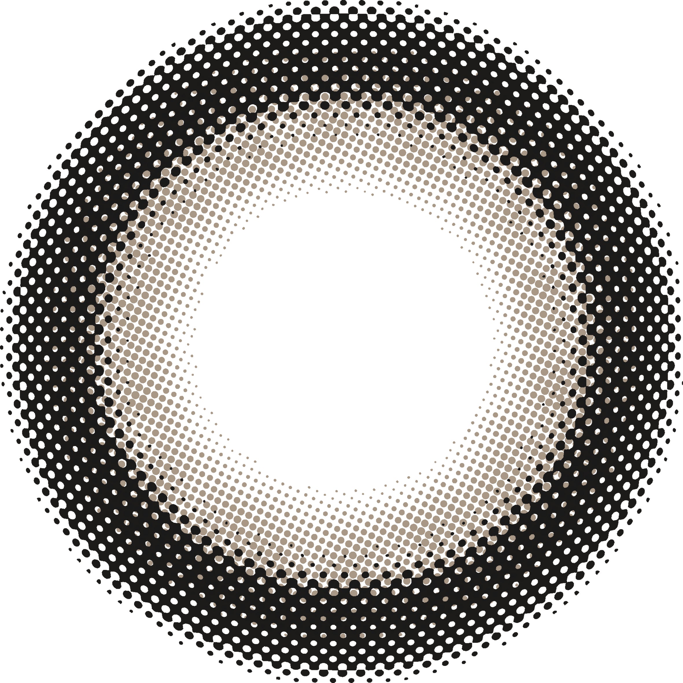 丘洛克雷普 [Charton] | 1month 