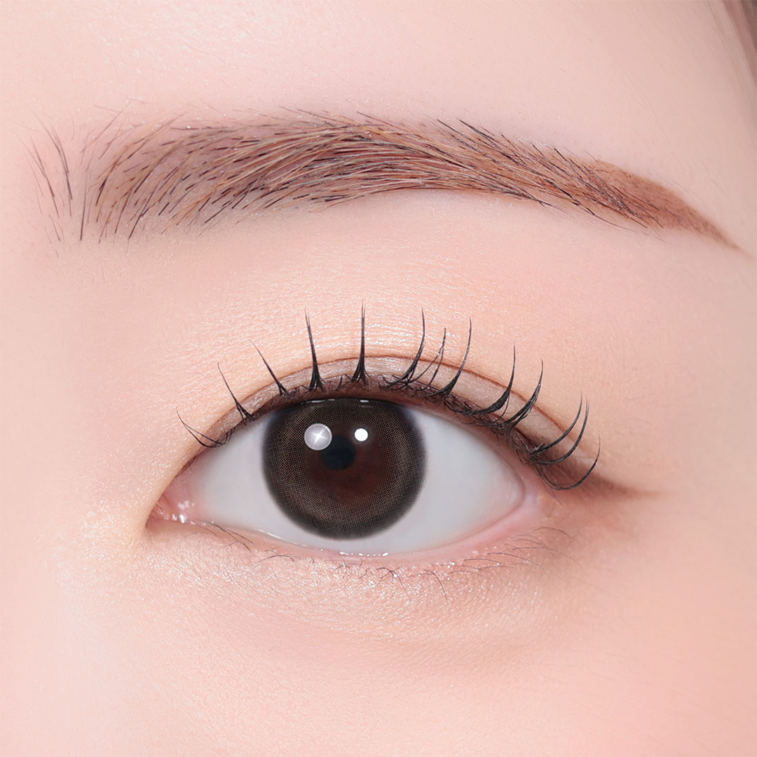 PANDEIA GRAY [YOUS] | 1month 