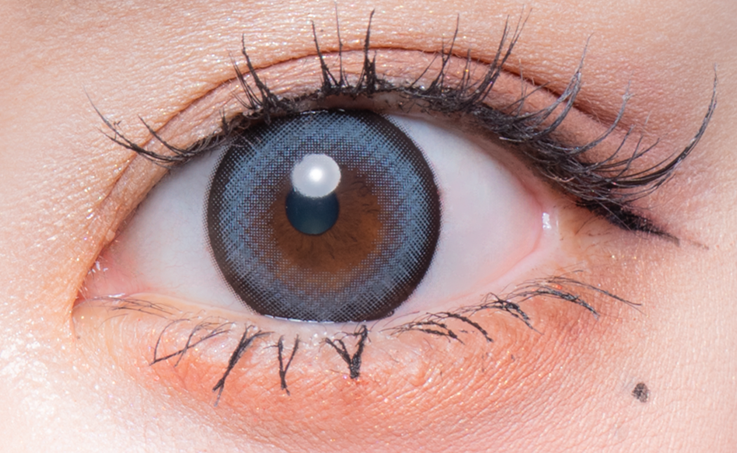 ワッフルチェックグレー [Flurry] | 1month 