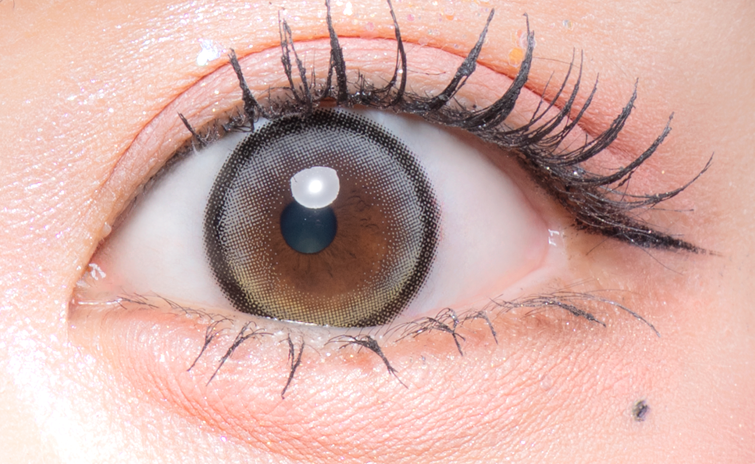 Waterlightorib (Yumemiru Pegasasu) [Flurry] | 1day 