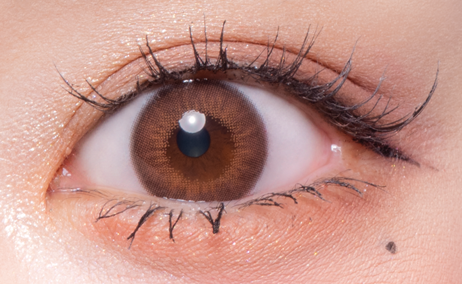 Moka foncéMarron | 1 jour