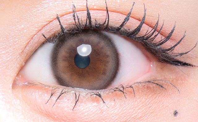 Ringraziamento marrone (orso patchwork) [Flurry] | 1day 