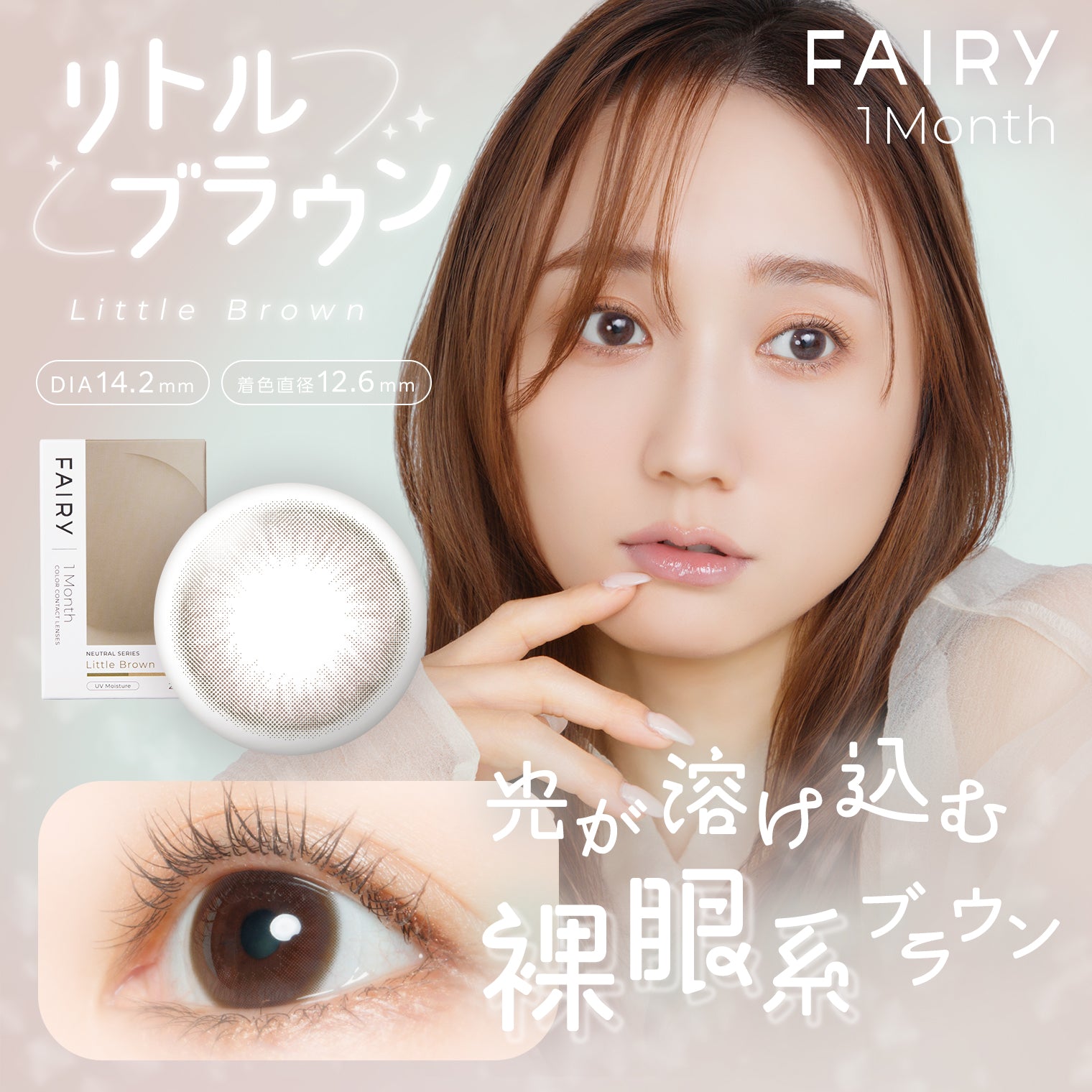 リトルブラウン [FAIRY] | 1month