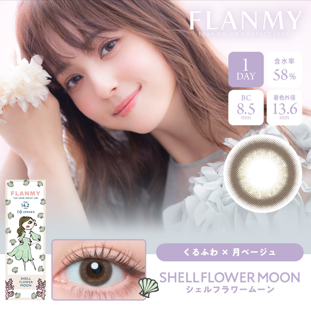 Shell Flower Moon | 日拋