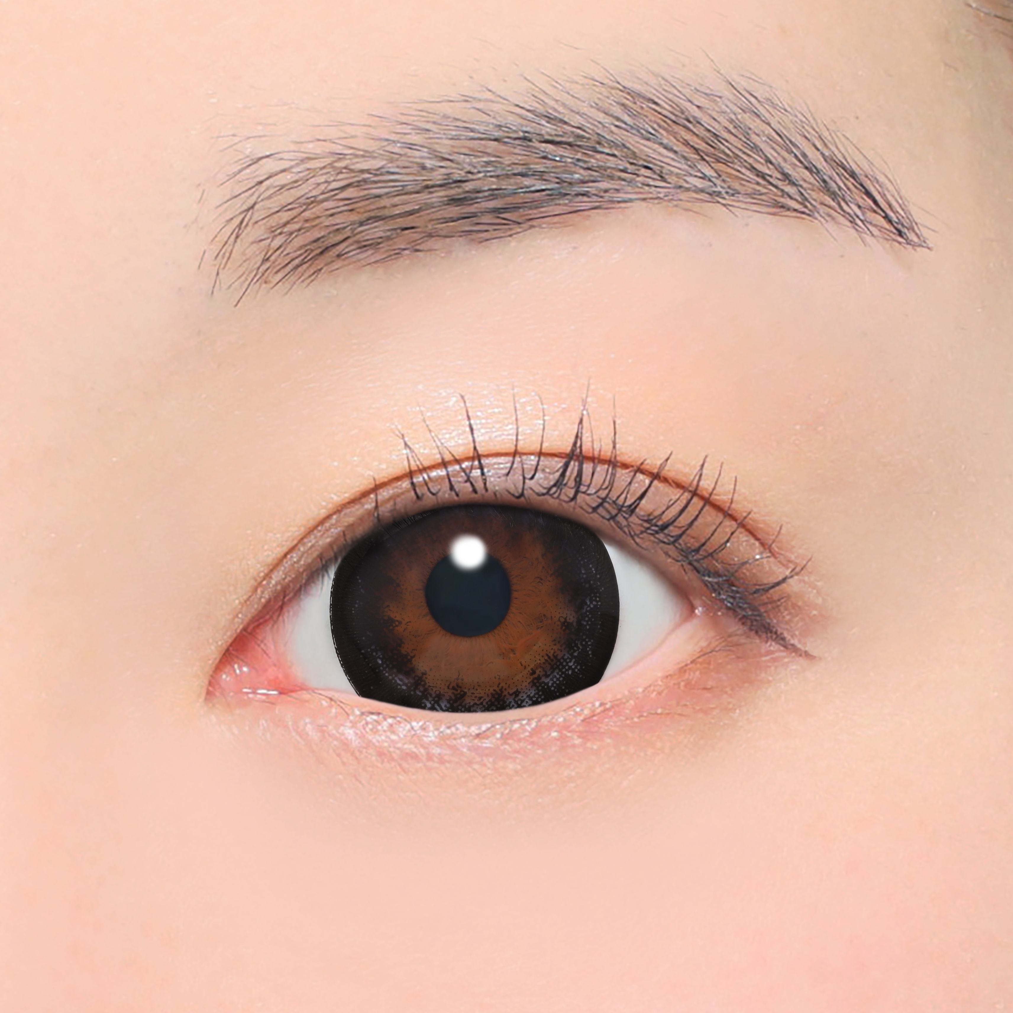 No.5 Black  [FABULOUS] | 1day 