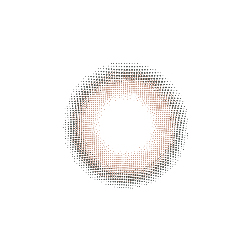 메로 브라운 [FOMOMY] | 1day 
