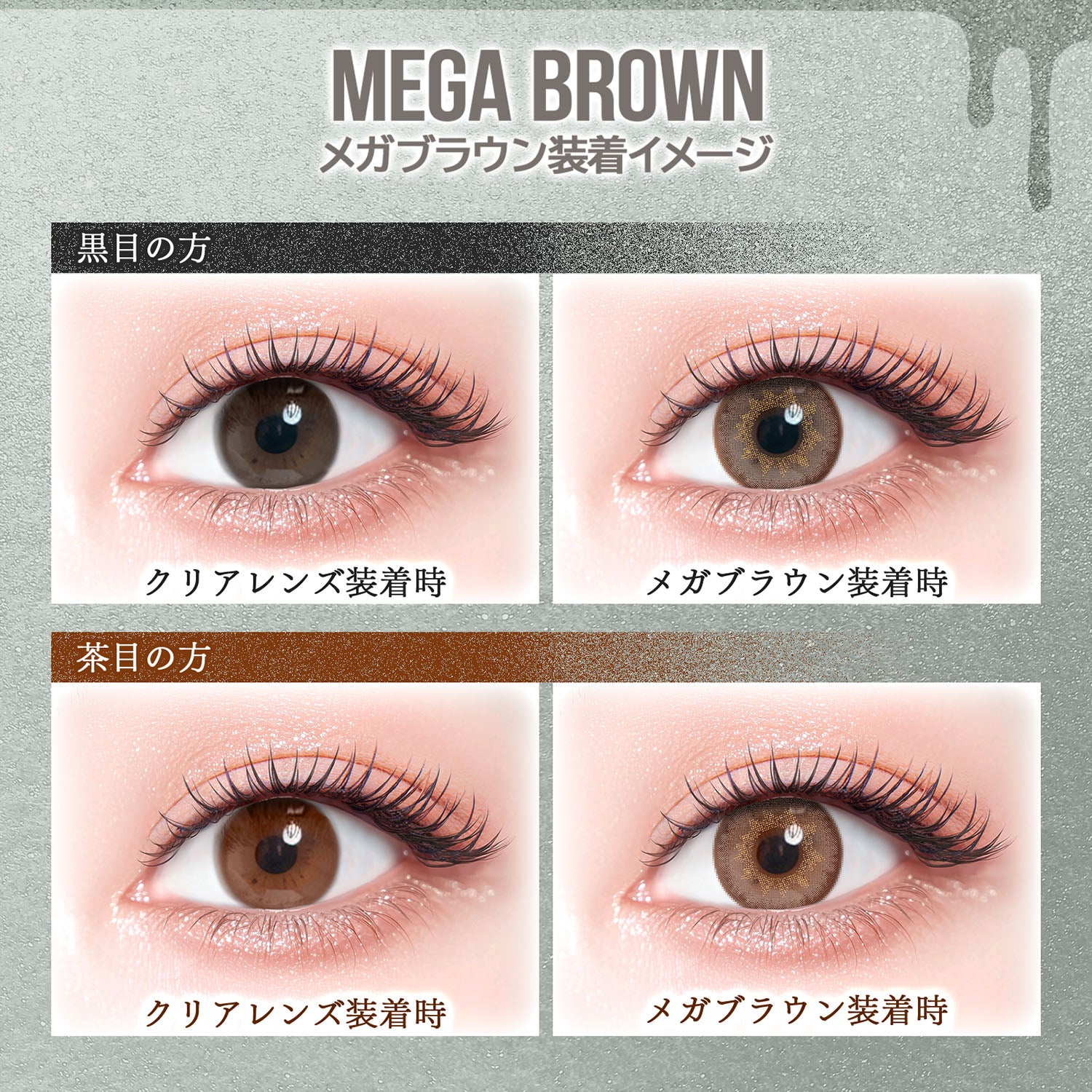 Mega Brown [colors] | 1day Colored Contact Lens - DIA 14.5mm