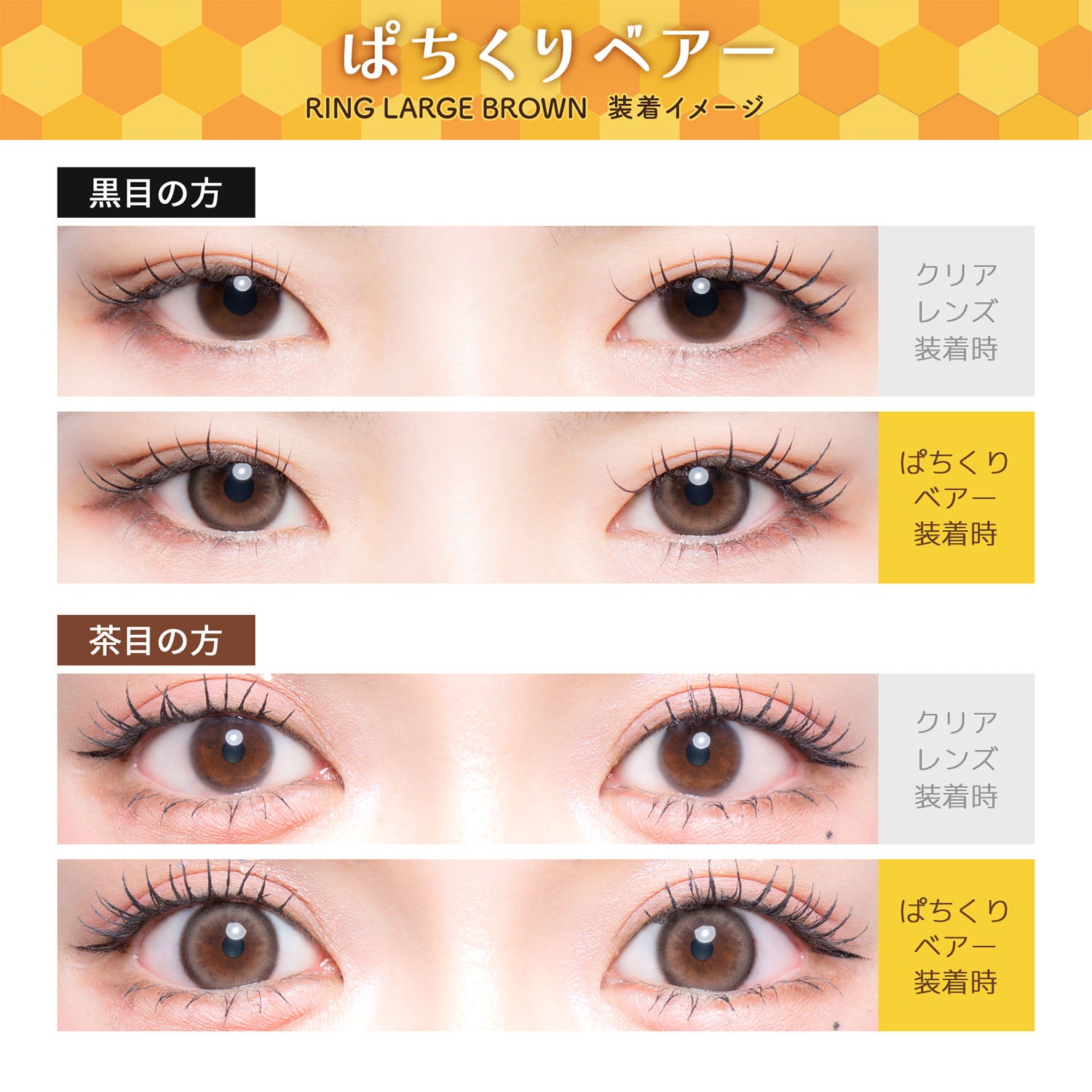 リングラージブラウン(ぱちくりベアー) [Flurry] | 1dayカラコン - DIA
