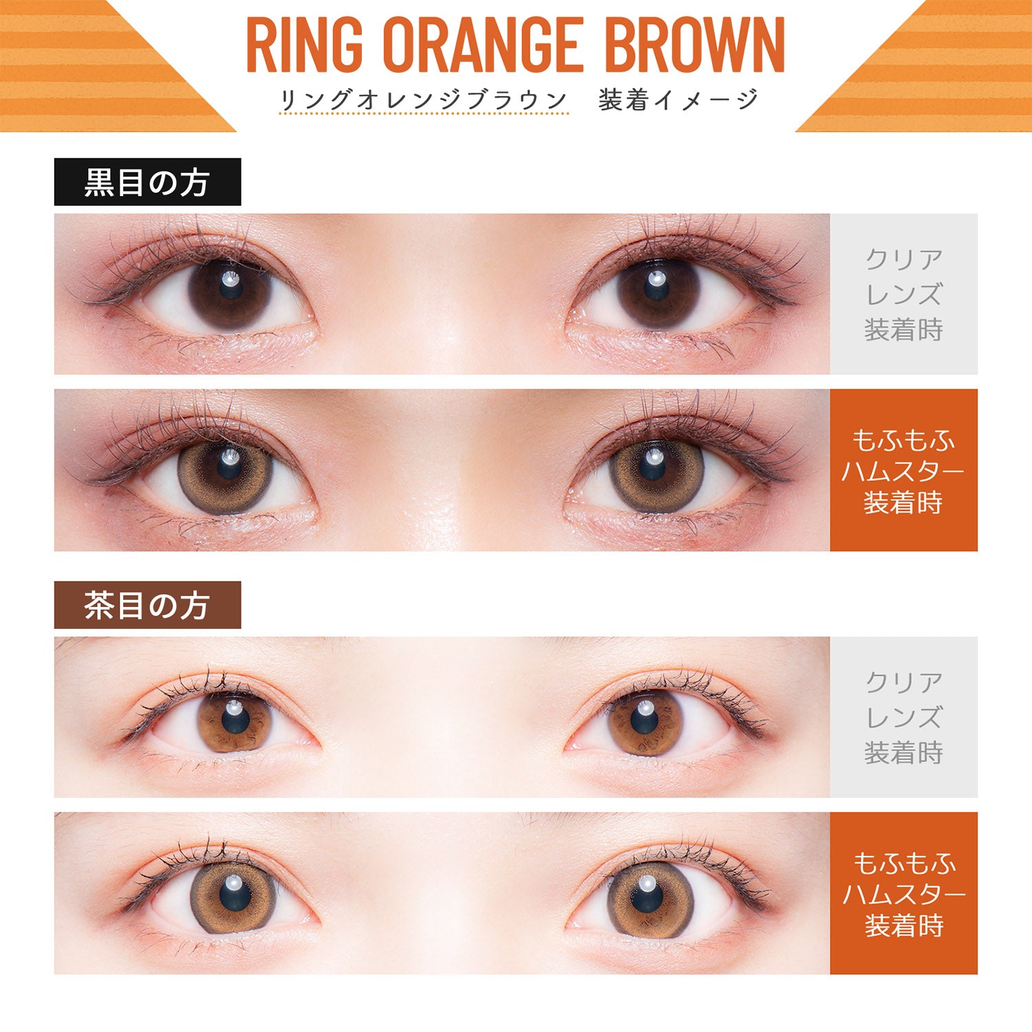 Ring Orange-Brown | 1day