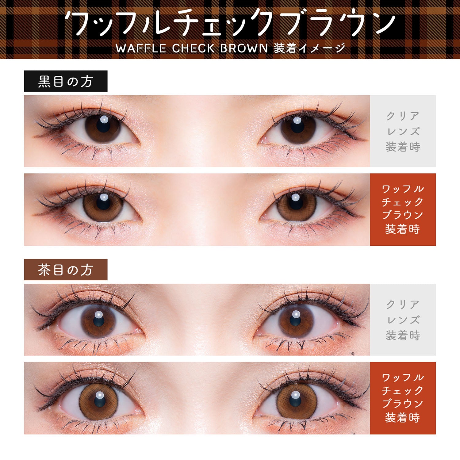 Waffle Check Brown [Flurry] | 1month Colored Contact Lens - DIA