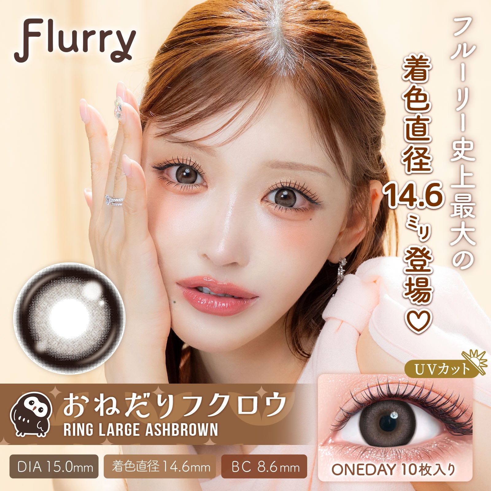 بني آش كبير بحافة حلقية (بومة مدلّلة) [Flurry] | يومي