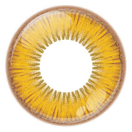 Amarillo lirio [Shutella] | 1 día