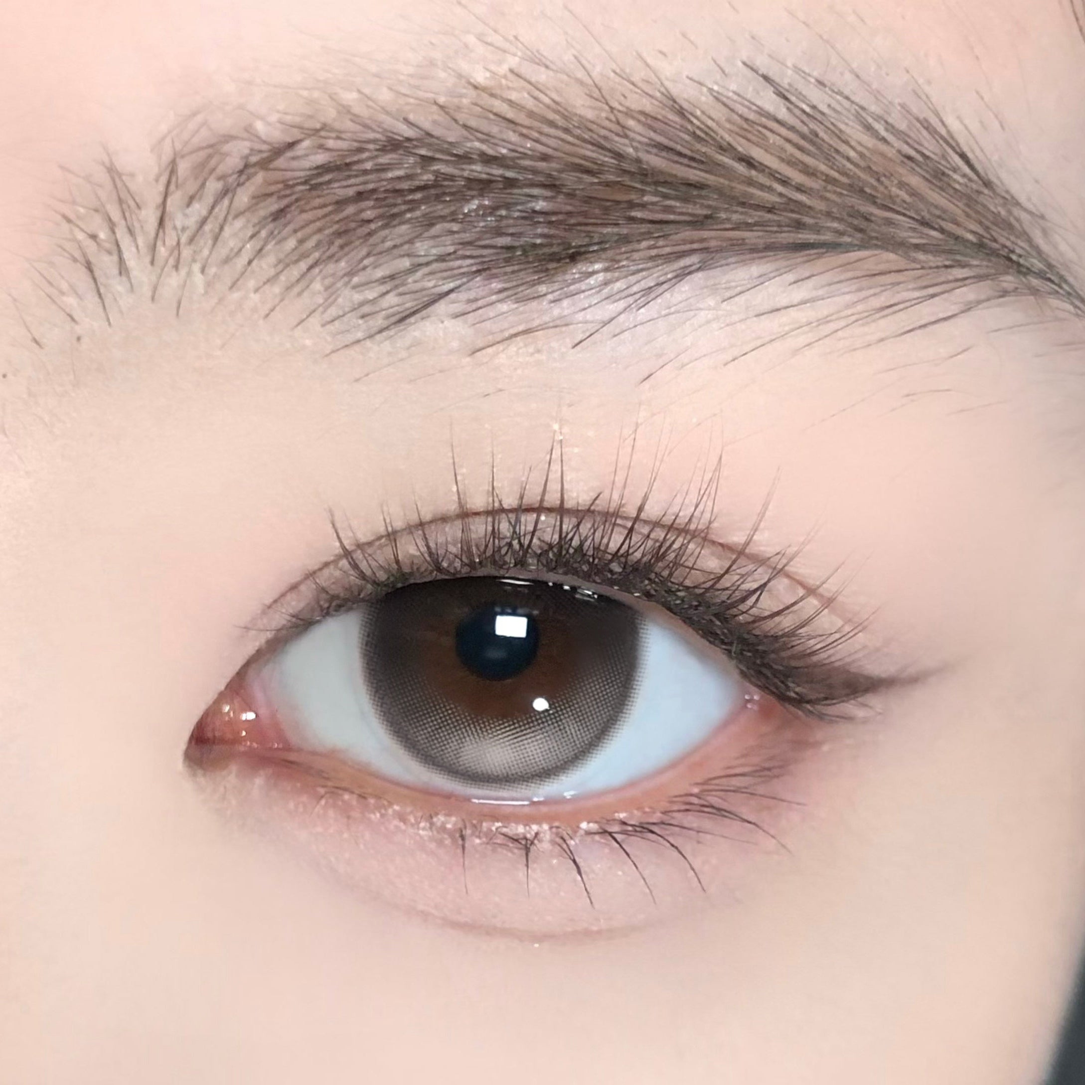 Kem Luna [CoFANCY] | 1 ngày