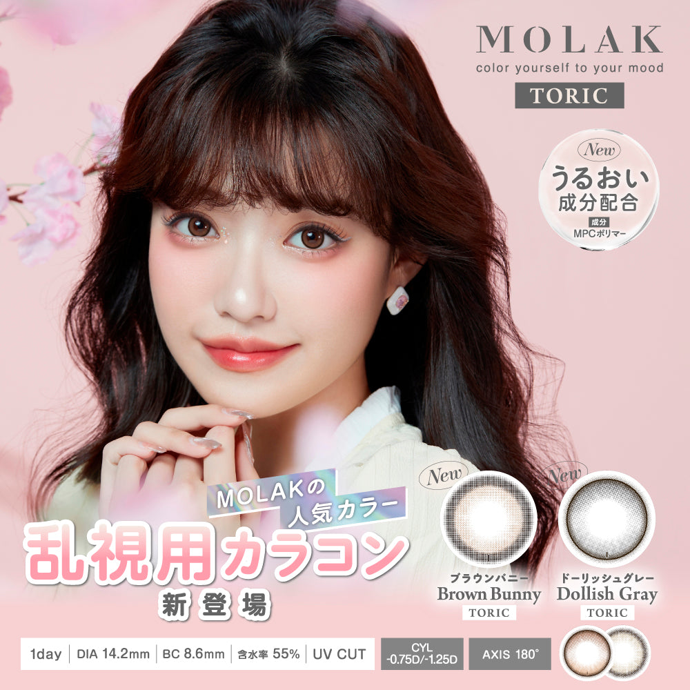 ブラウンバニー 乱視用レンズ [MOLAK] | 1dayカラコン - DIA 14.2mm