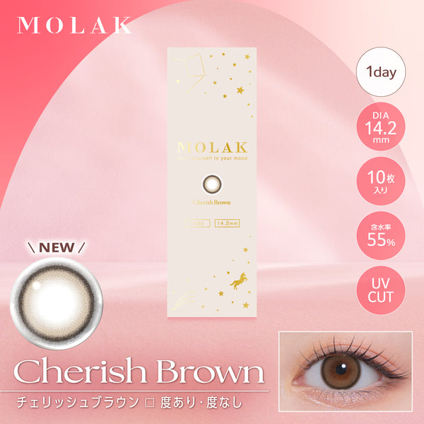 MOLAK_2604_1day_store_260312_f
