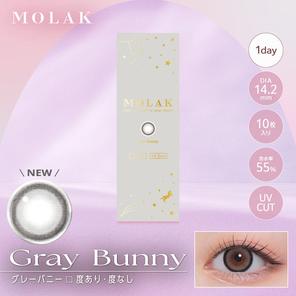 MOLAK_2604_1day_store_260312_f