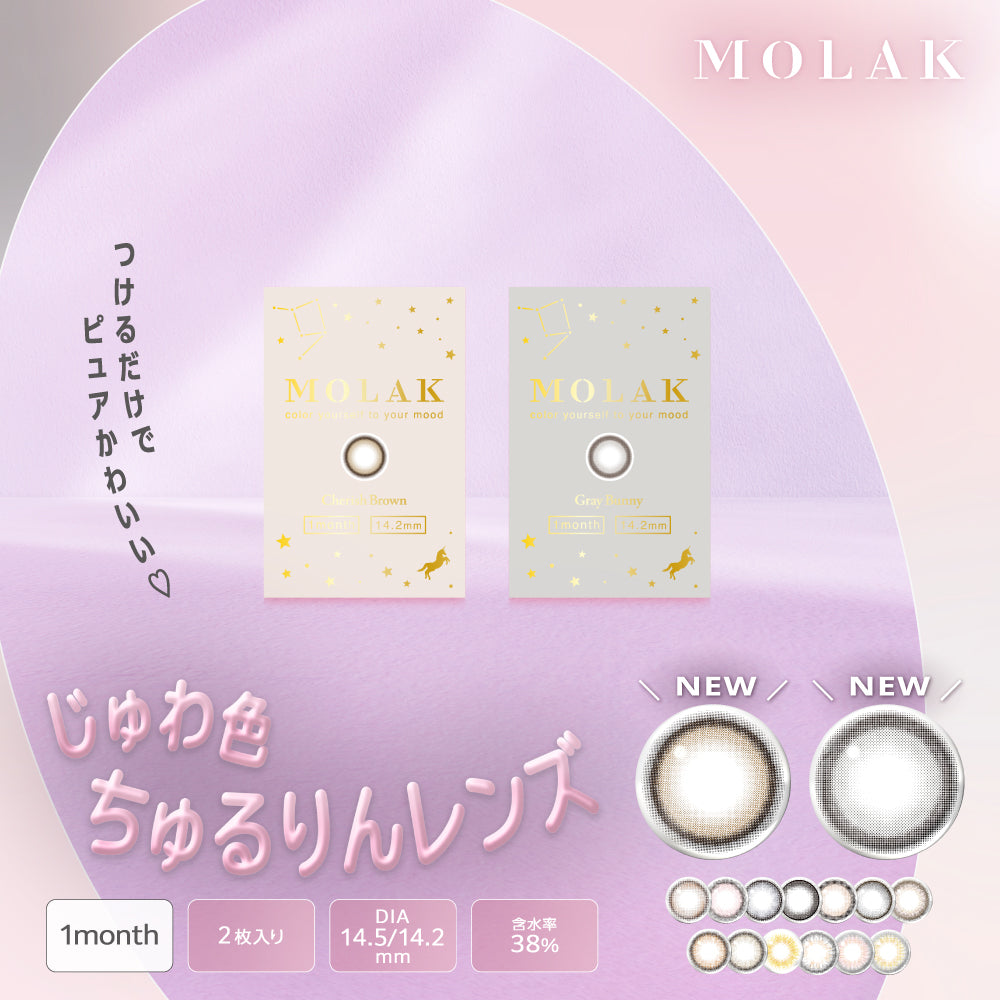 ドリームグレー [MOLAK] | 1monthカラコン - DIA 14.5mm | Push!Color
