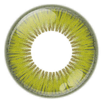 Té verde matcha [Shutella] | 1 día