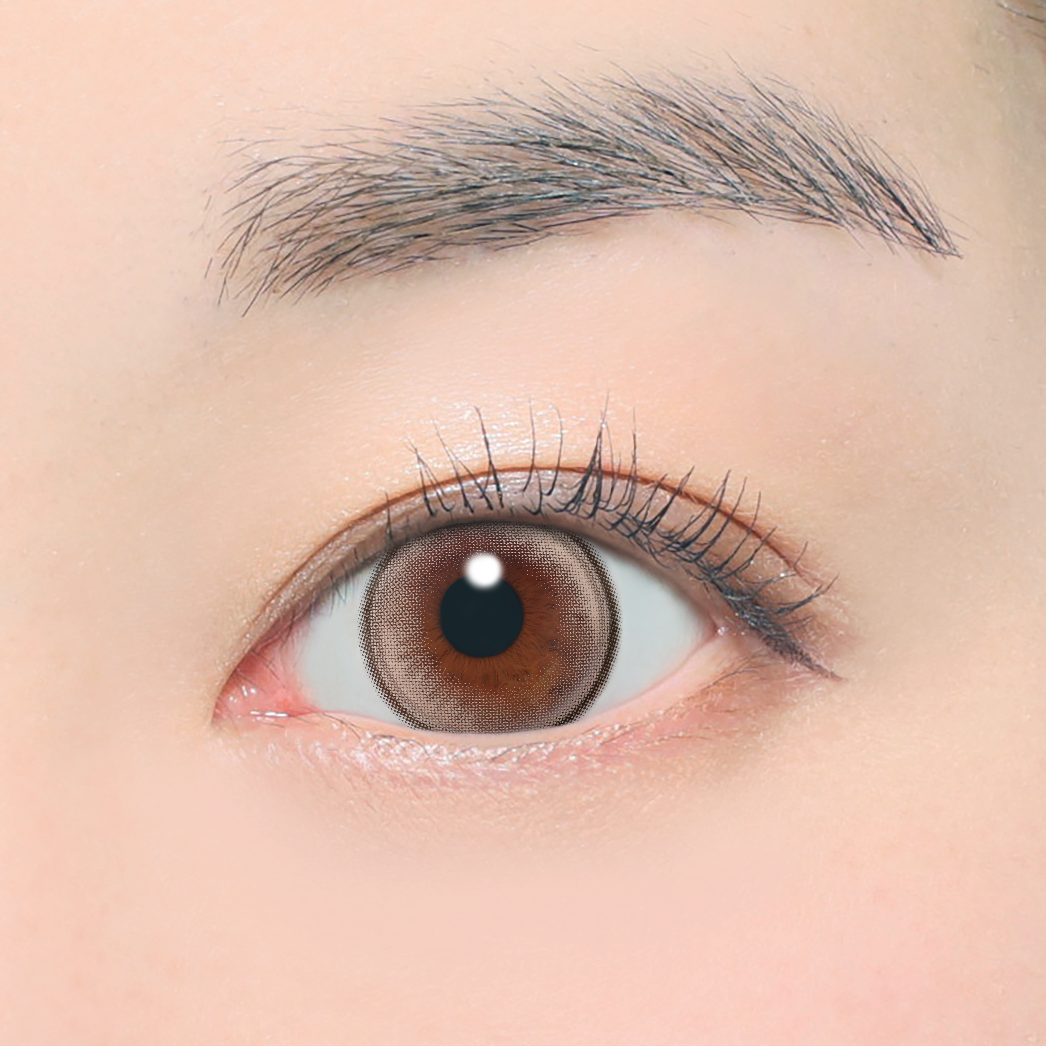 FadeLine [ØTHER] | 1day 