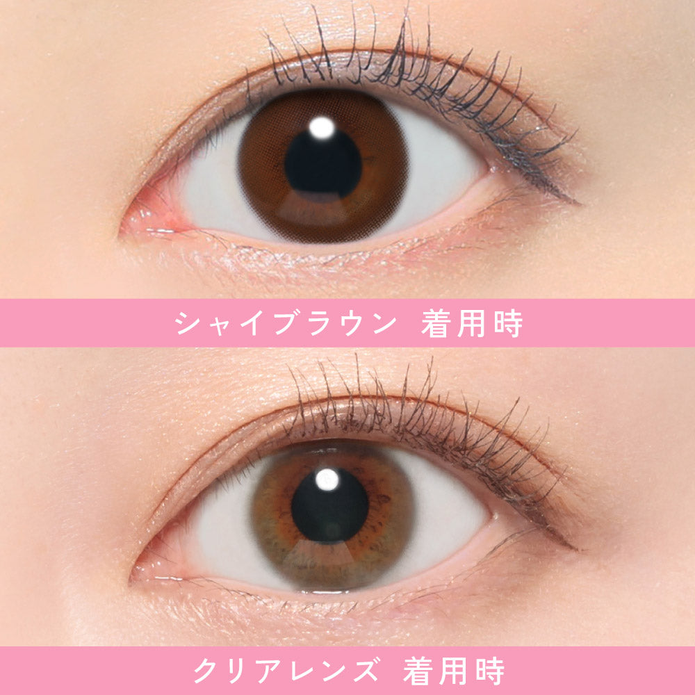 シャイブラウン [ReVIA] | 1day