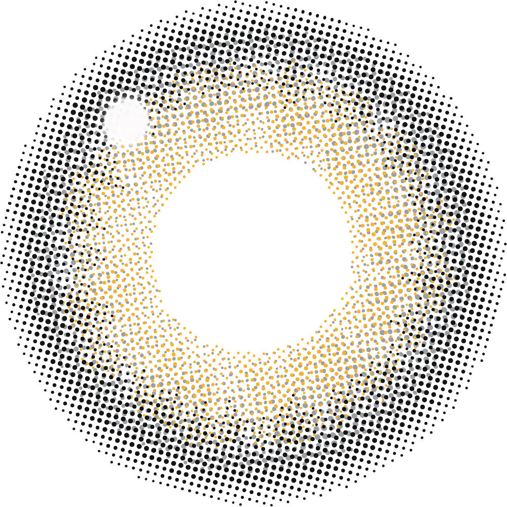 투명 렌즈회색 | 1일용
